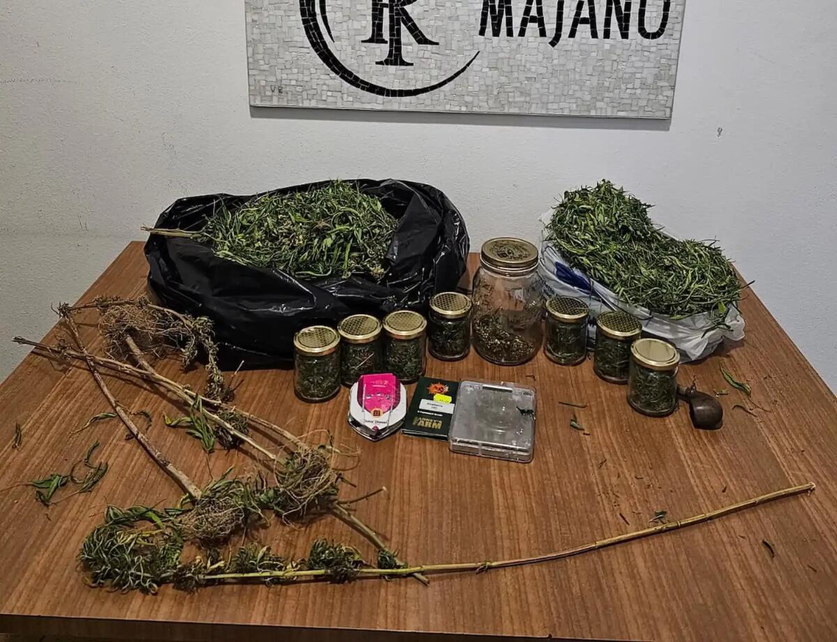 Nasconde droga in casa, arrestato un 47enne - 