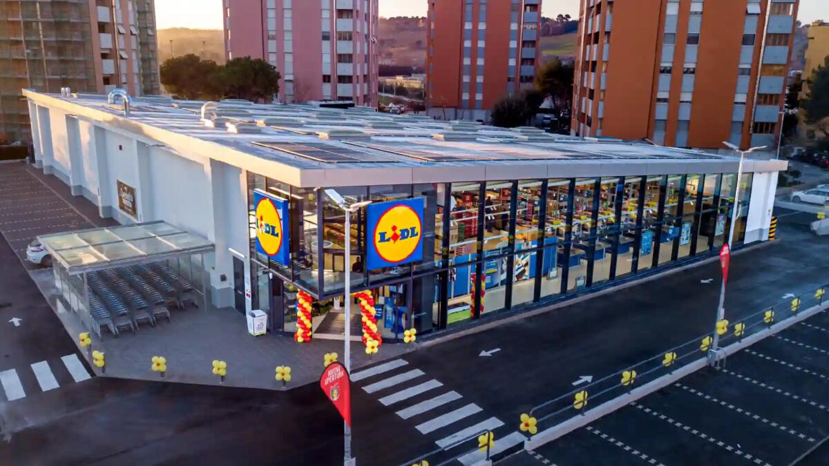 Lidl ricerca 17 persone per i suoi punti vendita nel Bellunese - 