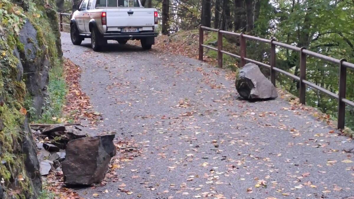 Rigolato. Grossi massi sulla carreggiata dopo le piogge: intervento della Protezione civile - 