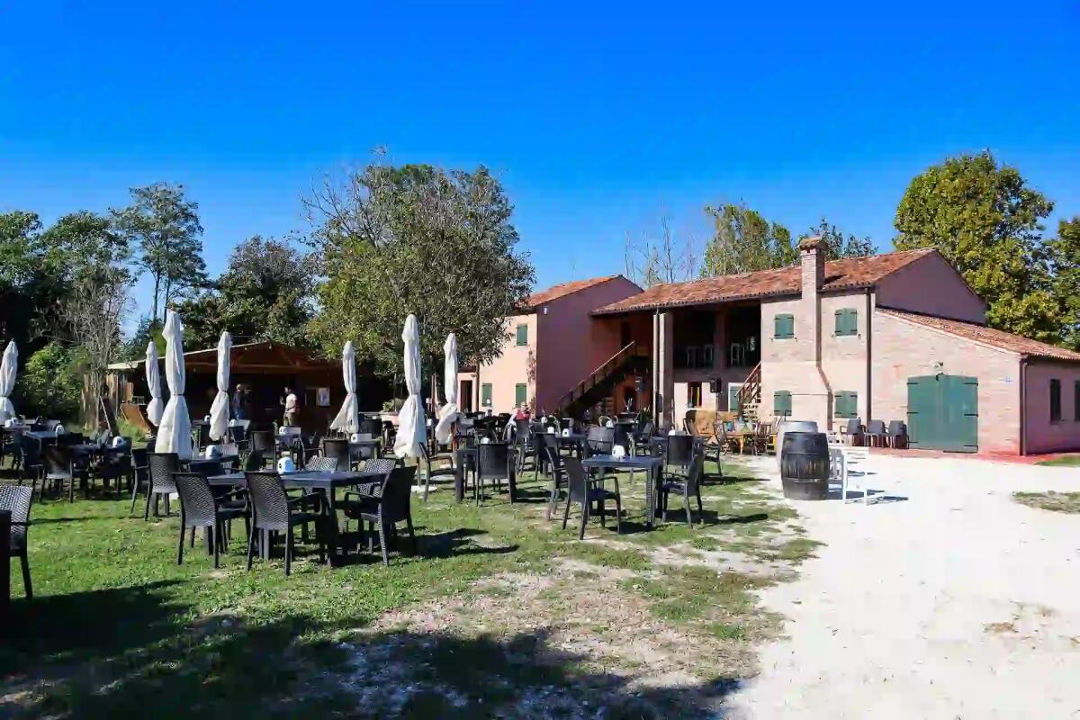 Oltre 200 eventi e 100 laboratori: Campo dei Girasoli si prepara a chiudere per la stagione invernale - 