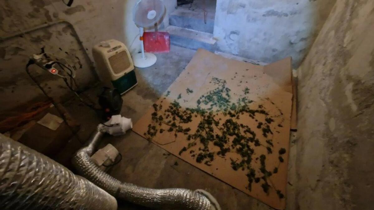In casa marijuana e hashish: arrestati due coniugi spacciatori - 