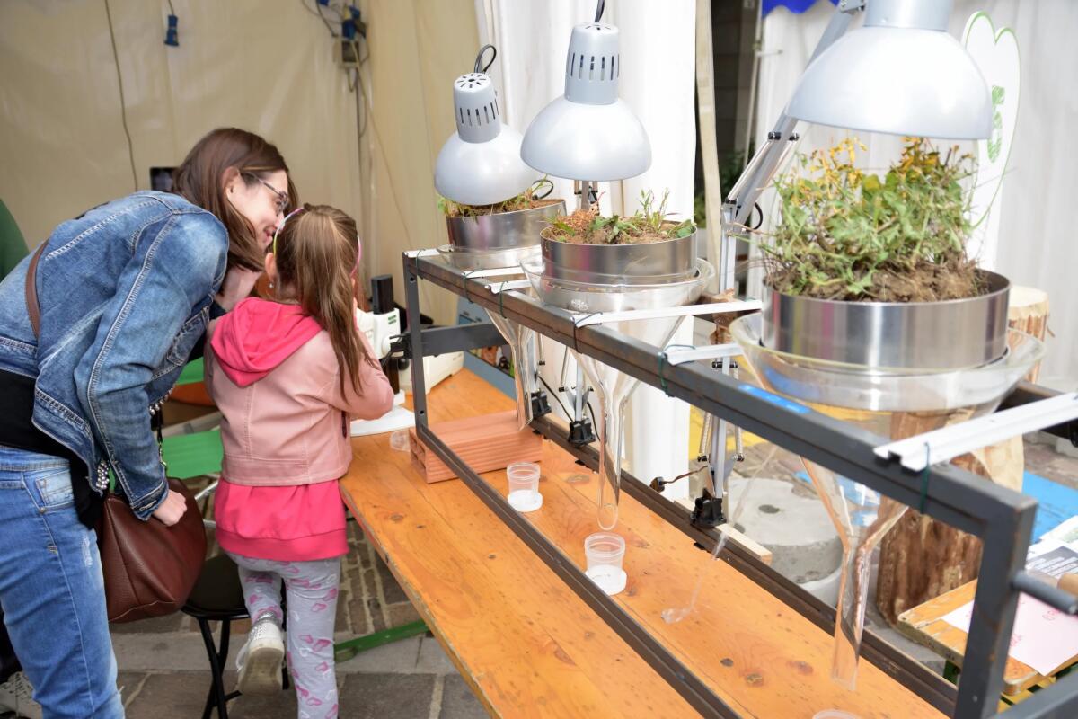 Giovedì, al via Il Filo dei Sapori a Tolmezzo, fino a domenica - 