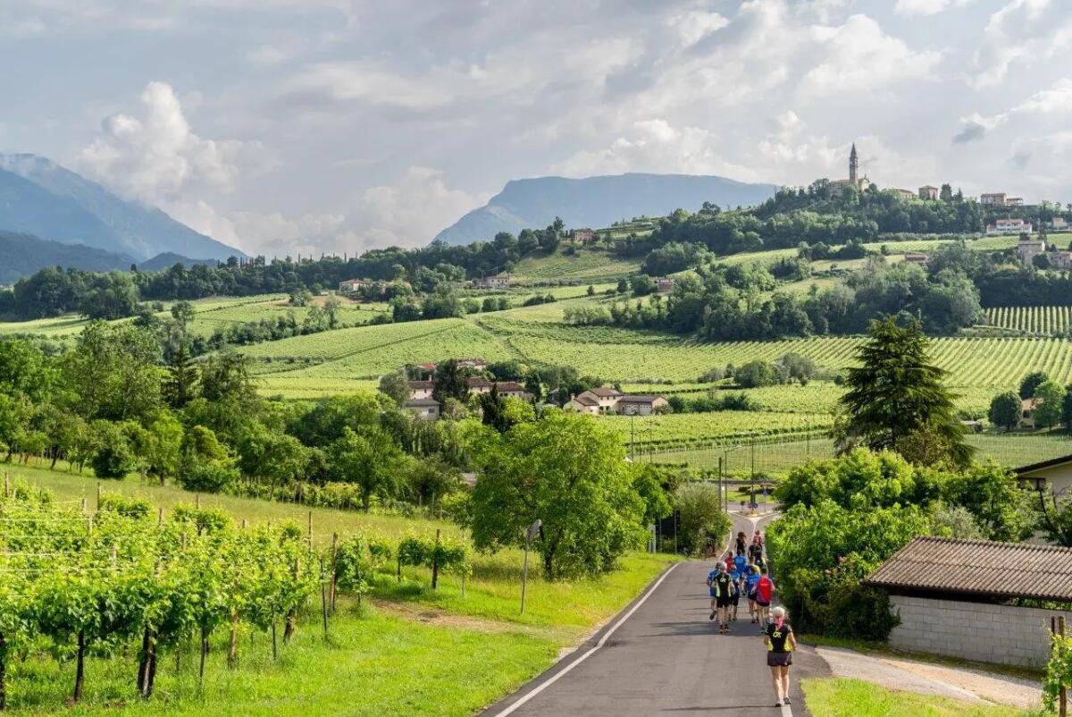 Di corsa sul muro, ecco la 1^ Ca' del Poggio Run, appuntamento al 26 novembre -
