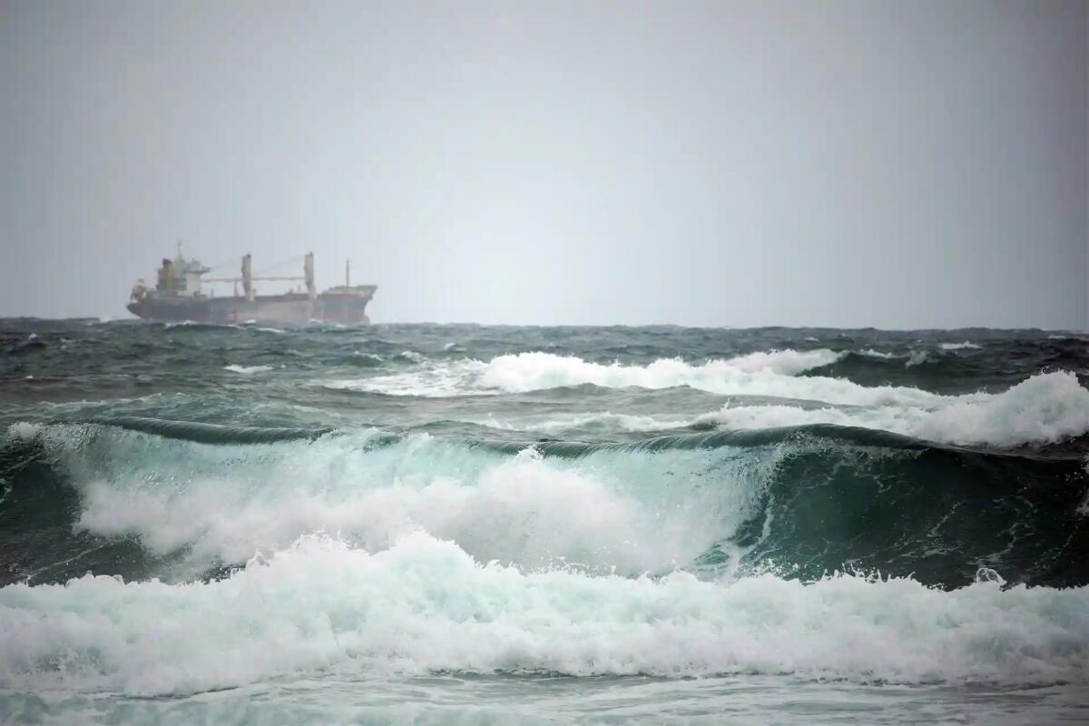 Meteo, bora a Trieste e vento forte anche sulla costa veneta. Temperature giù di 14 gradi - 