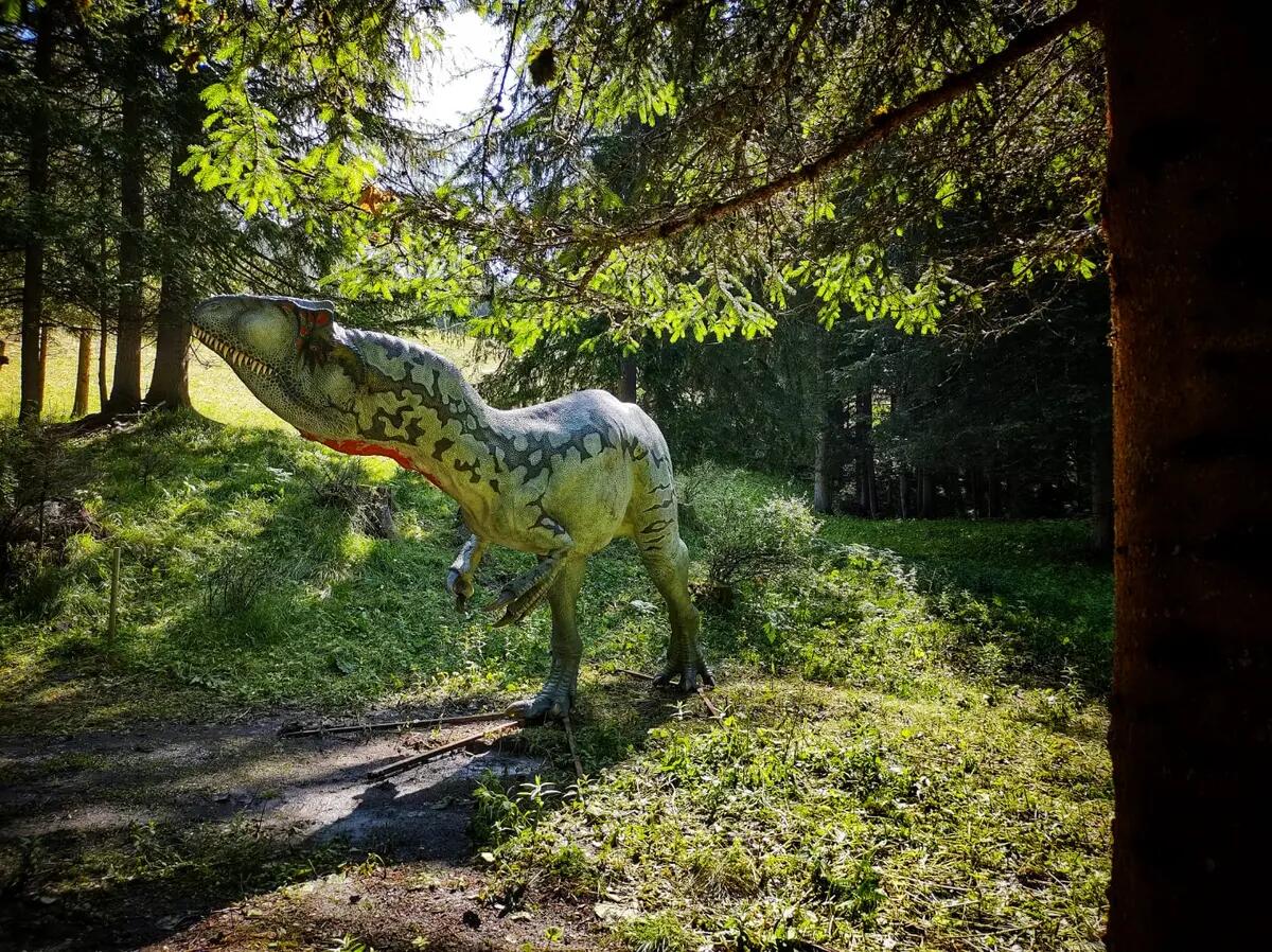Un successo per Selva di Cadore, la mostra "Evolution .Storie di cambiamento" totalizza 10mila visitatori - 