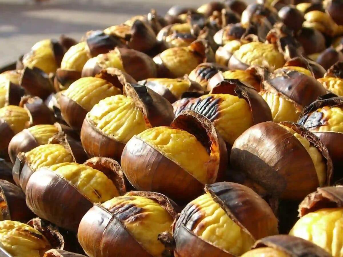 Cosa fare, dove andare in Friuli Venezia Giulia domenica 29 ottobre 2023: sagre, eventi, fiere, mostre -