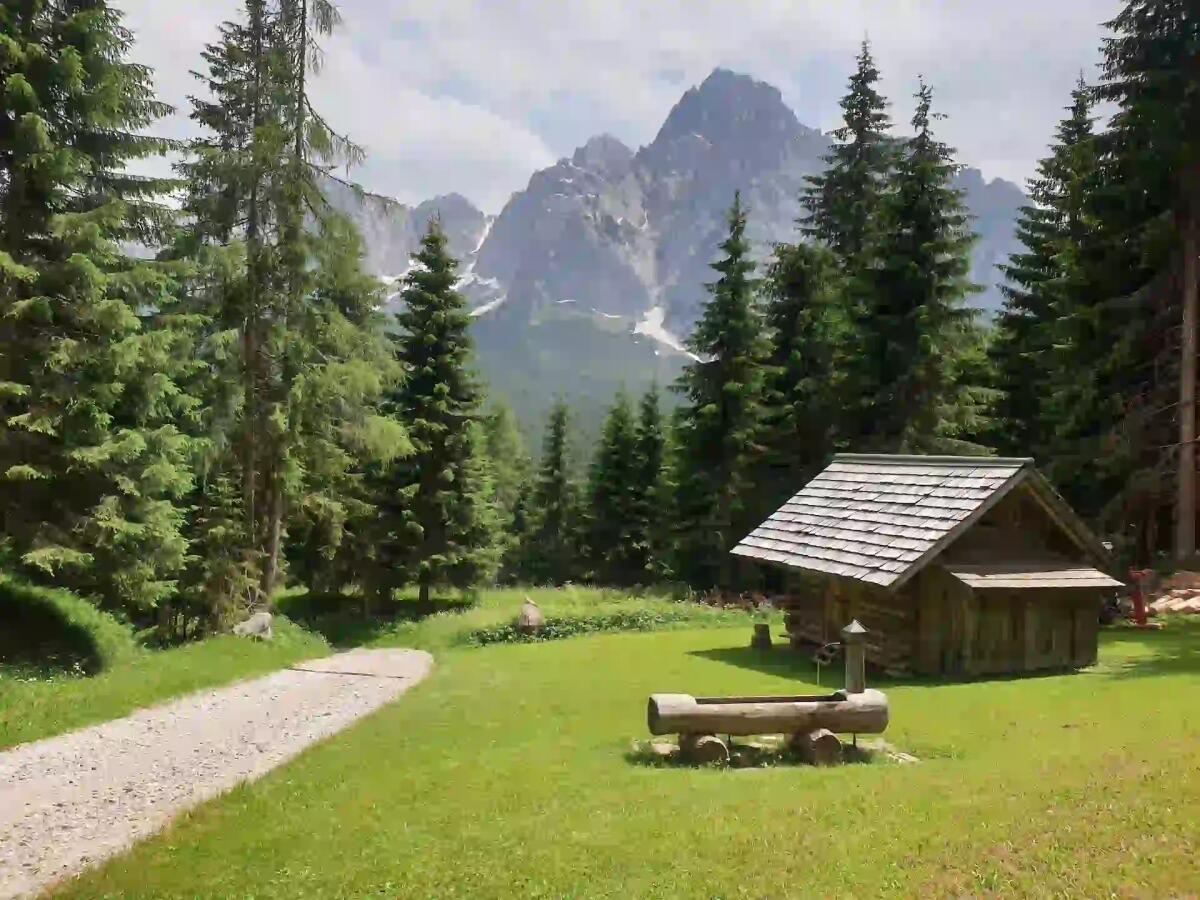 Nuovi contributi regionali a sostegno del Consorzio Boschi Carnici - 