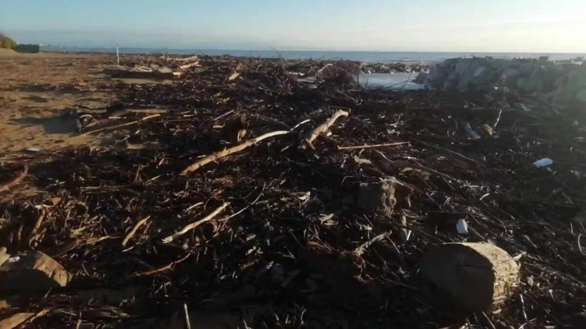 Forti piogge in Friuli Venezia Giulia: notte di danni e disagi. La situazione in tempo reale - 