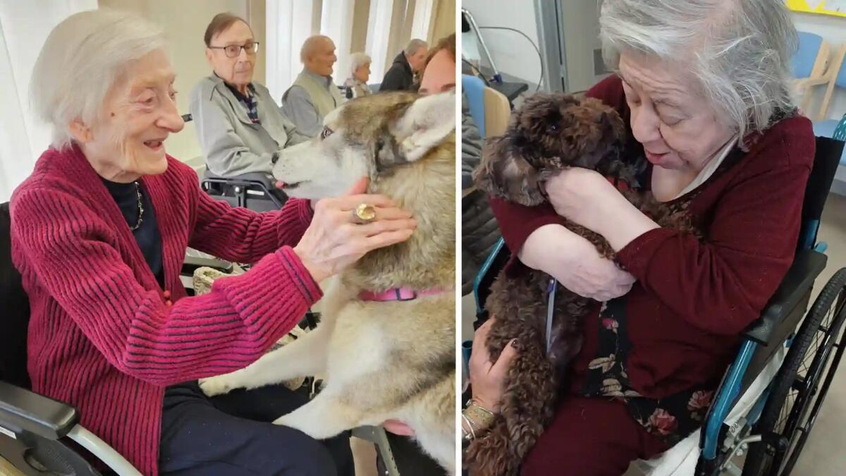 Pet Therapy per gli anziani: la dolcezza dei cani entra nella Rsa “San Giorgio” a Marcon - 