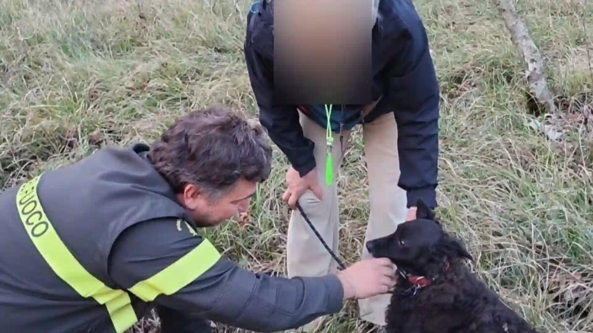 Nemo cade in una profonda buca: salvato dai vigili del fuoco -