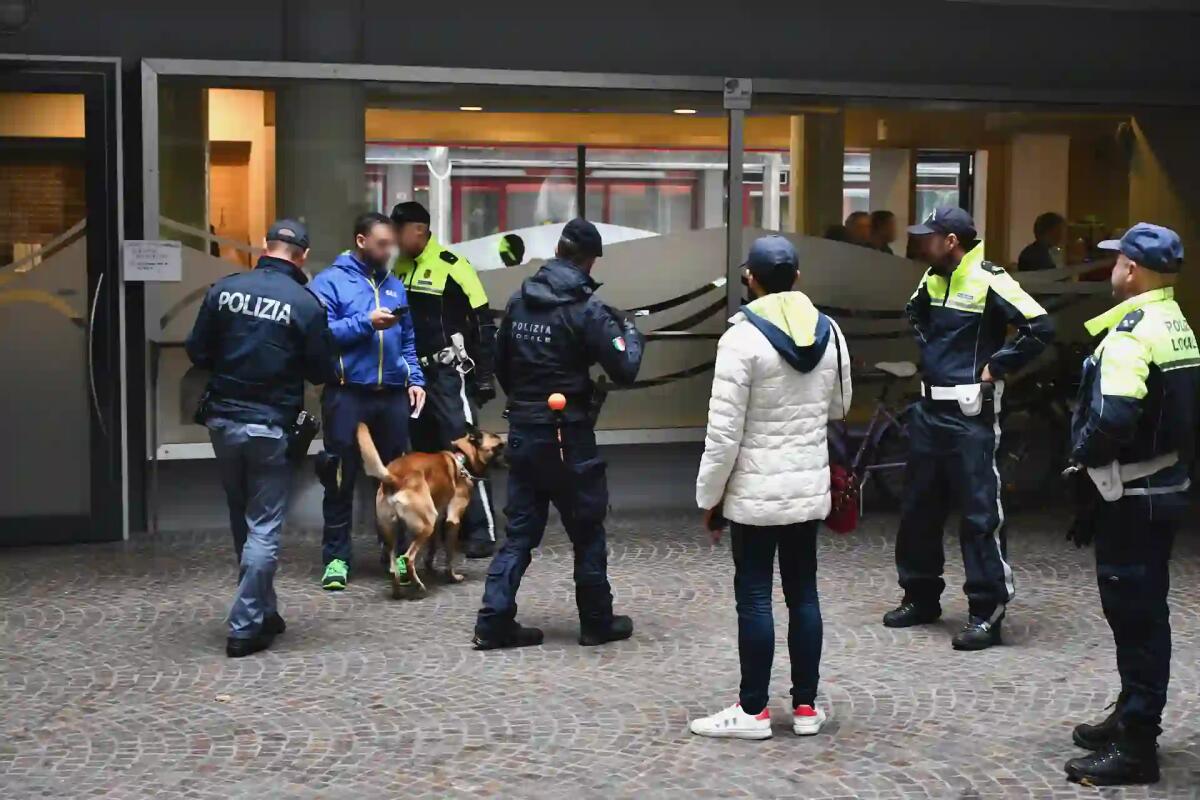 Konan fiuta la droga, scoperti giovani spacciatori a Tolmezzo - 