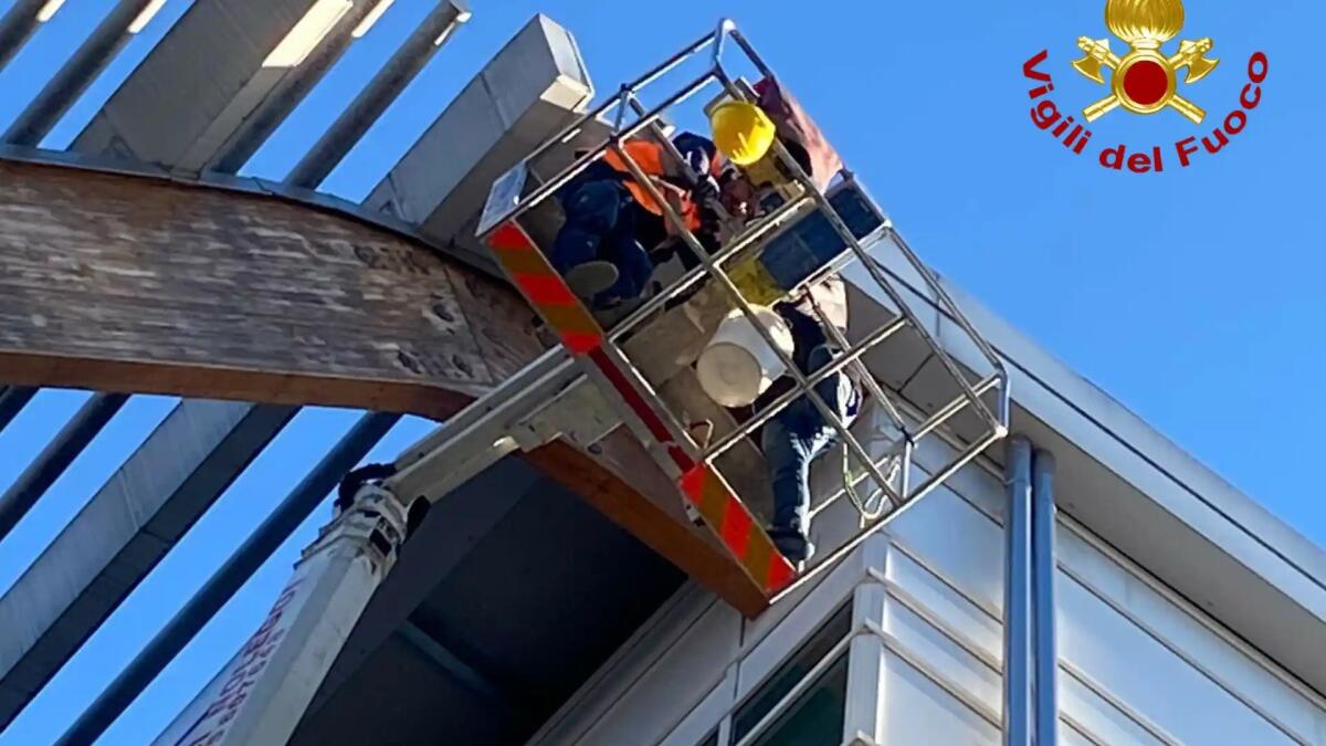 Operai bloccati a 20 metri d'altezza su una piattaforma mentre lavorano all'ospedale - 