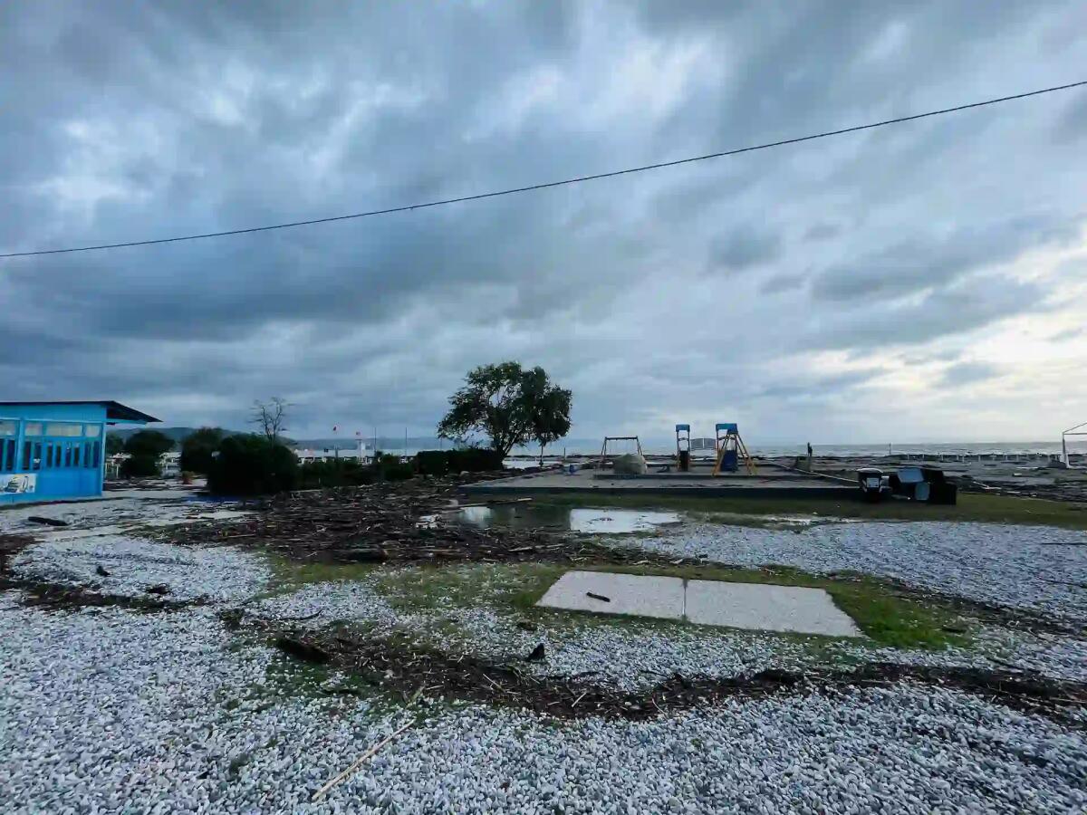 Monfalcone, ok alla raccolta della legna lungo il litorale: primo comune in Regione. Scarica l'Ordinanza Pdf - 