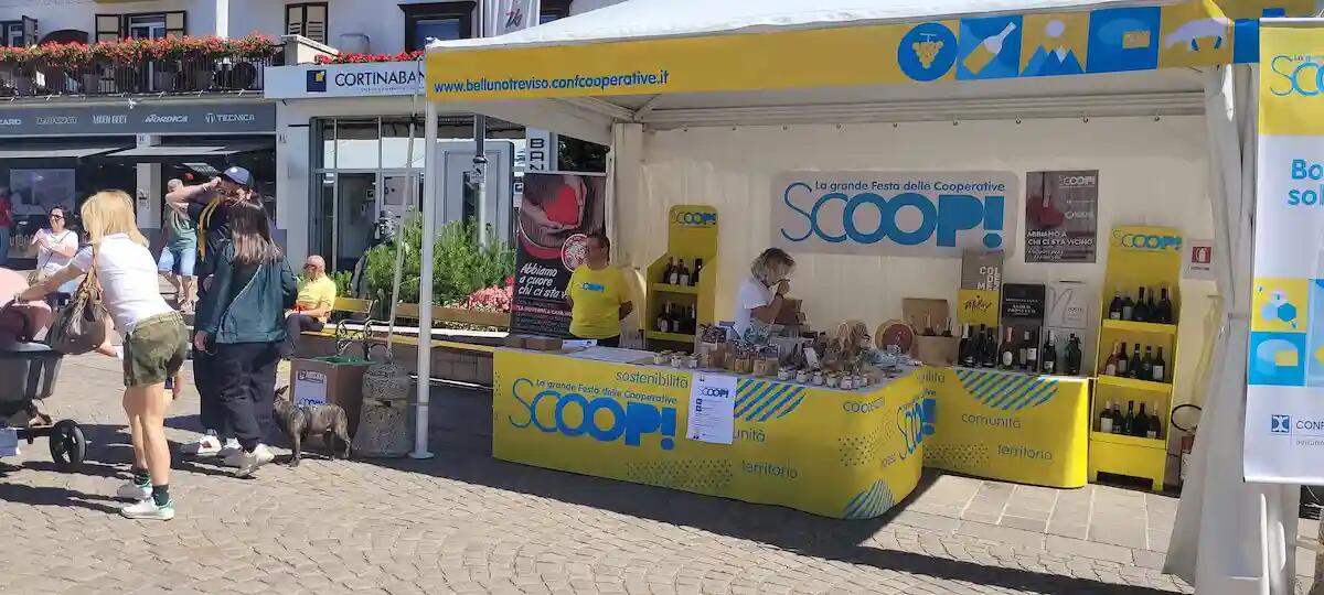 Confcooperative Belluno e Treviso al fianco dell'associazione "Insieme si può" - 