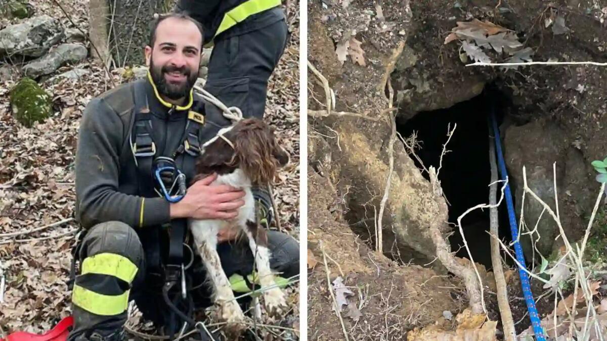 Fiona finisce in una buca profonda 10 metri e scompare: salvata dopo 2 giorni - 