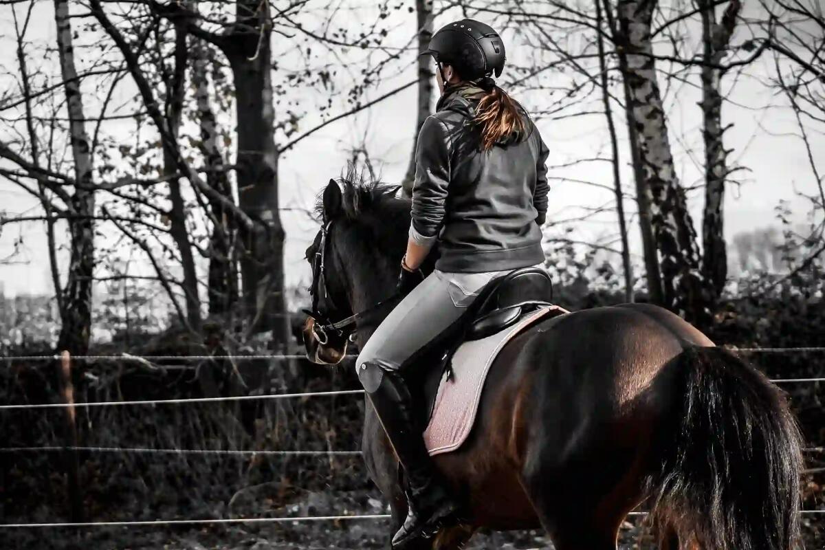 Brutta caduta da cavallo, paura per una 24enne: ricoverata in ospedale -