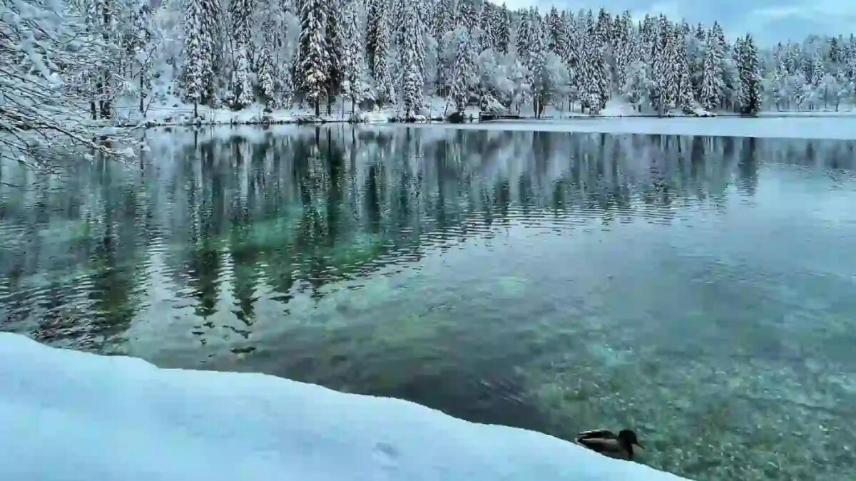 Altri 4 turisti bloccati sul ghiaccio al Lago di Fusine, senza catenelle o ramponcini: soccorsi -