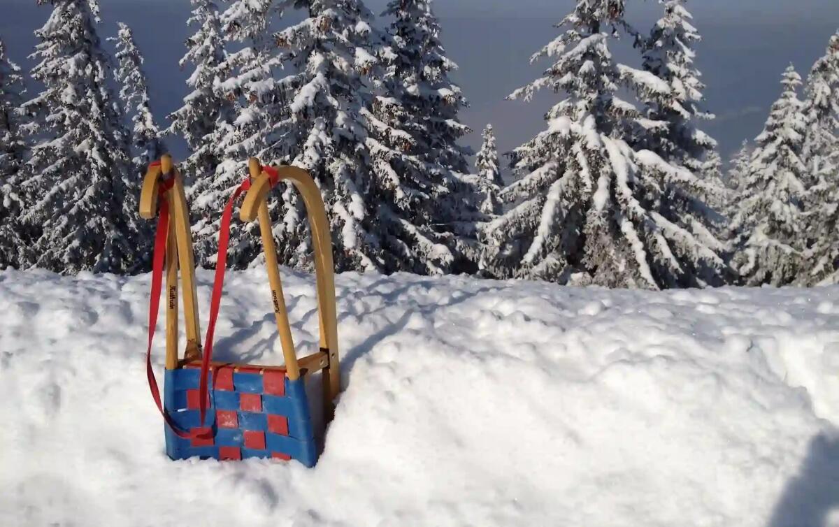 Terribile schianto con lo slittino ad Auronzo: feriti madre e figlio di Trieste - 
