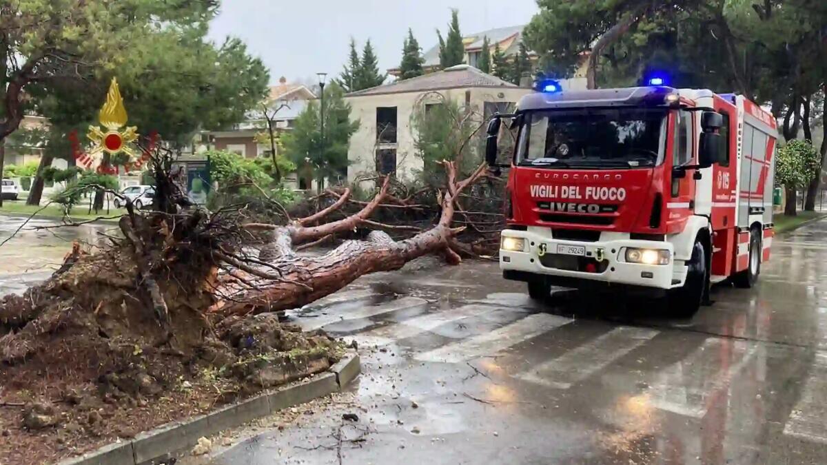 Allerta meteo e maltempo in Friuli Venezia Giulia, la situazione attuale e i danni registrati -