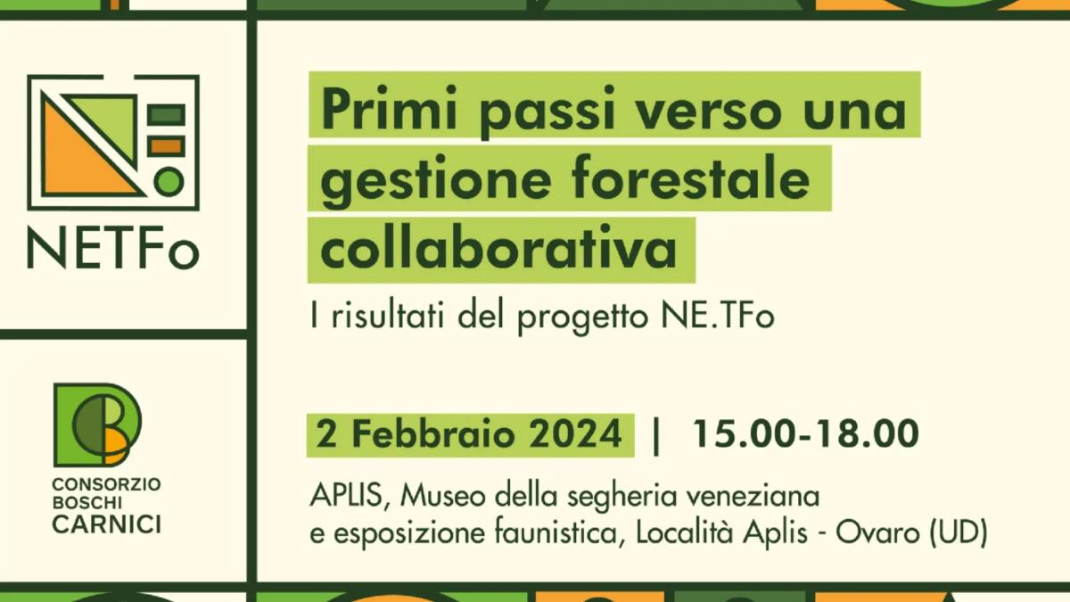 Forest Sharing con il Consorzio Boschi Carnici: il 2 febbraio si chiude il ciclo di incontri del progetto Net.fo - 