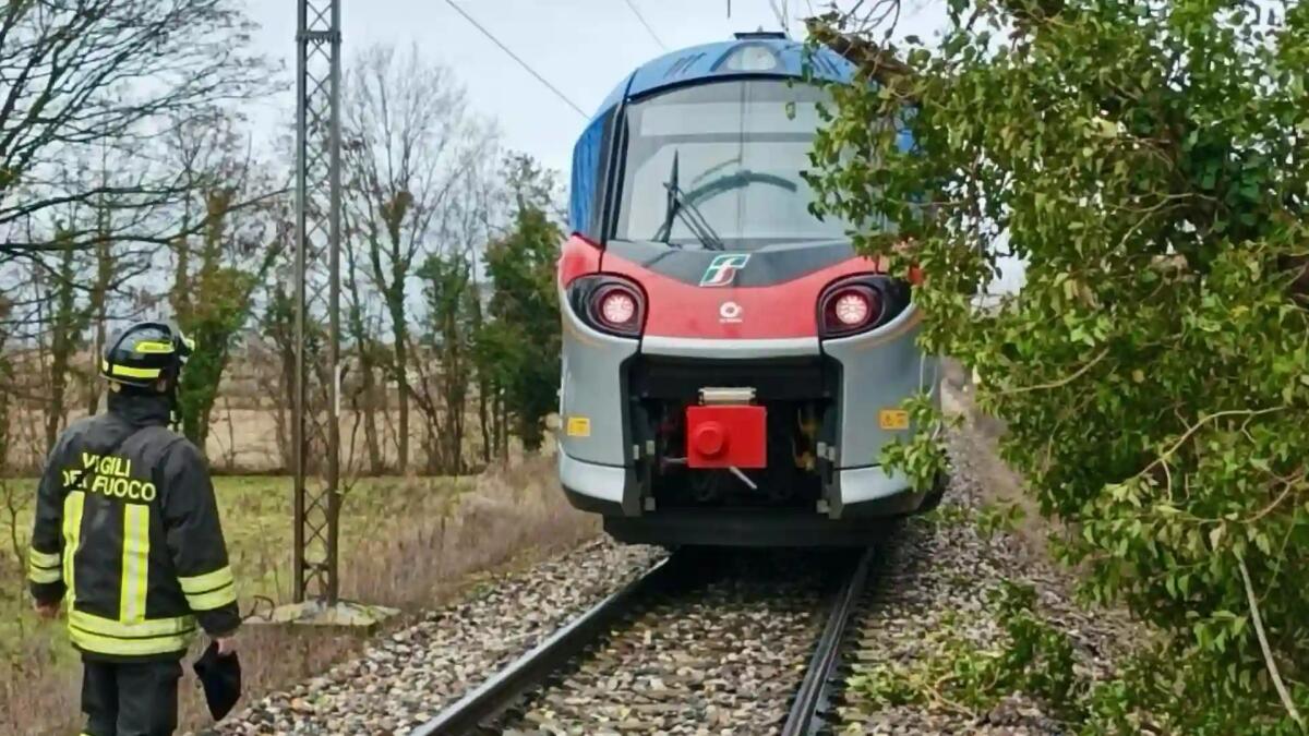 Maltempo, albero cade sulla linea ferroviaria Venezia Bassano: stop ai treni -