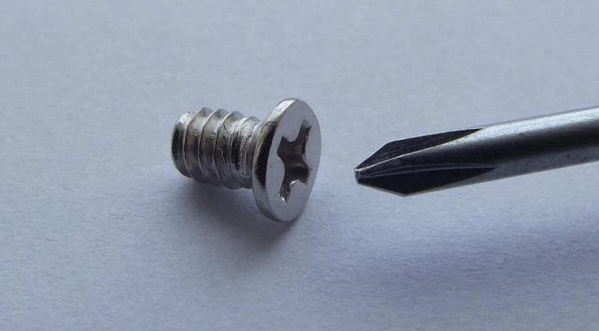 Scopriamo insieme i diversi tipi di vite e la loro destinazione - 