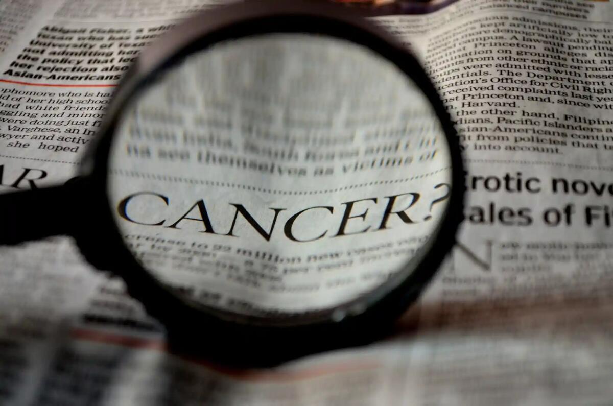 NO-CANCER-NET, Università di Udine tra i partner del progetto europeo - 