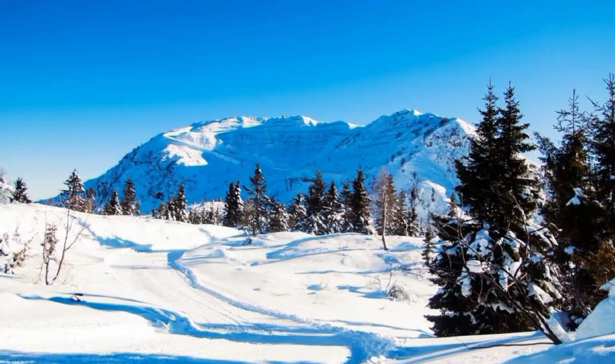 Ciaspolare in Carnia tra neve e magia: i prossimi appuntamenti -