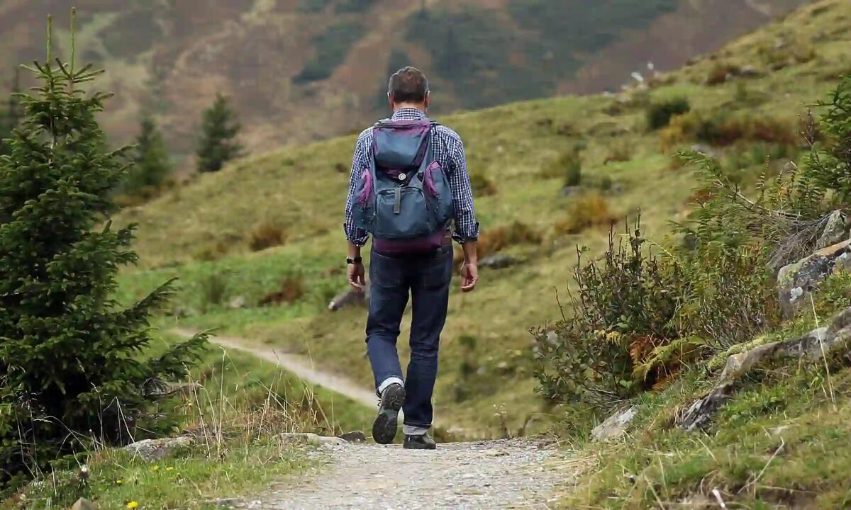 Sentieri, rifugi e corsi di formazione: 350mila euro per il Cai del Friuli nel 2024 - 