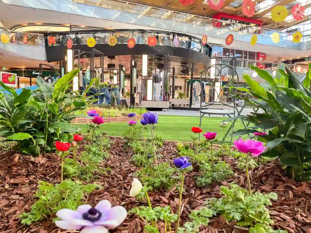 Da Atrio a Villach la Primavera sboccia in anticipo: Prato Fiorito, sfilate di moda, conferenza sulle erbe -