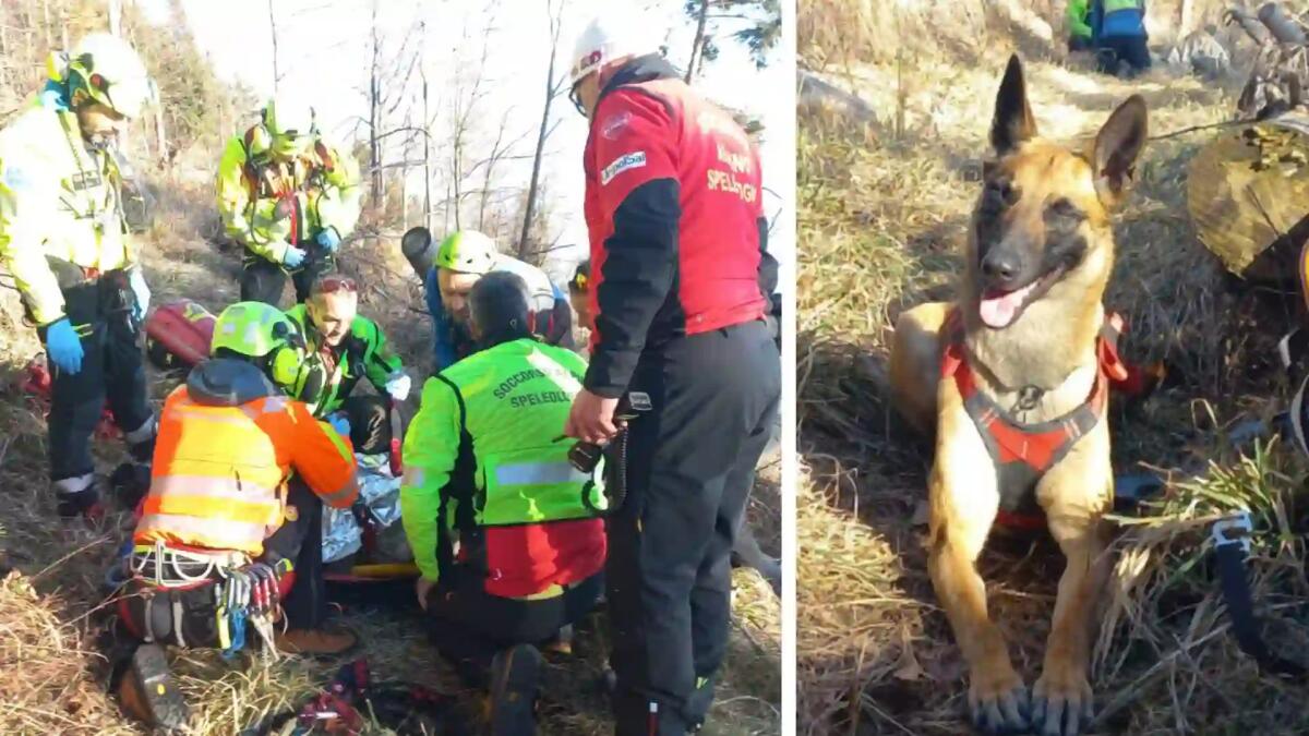 Danilo Santuz scomparso, ritrovato grazie all'unità cinofila: colto da malore, in gravi condizioni - 