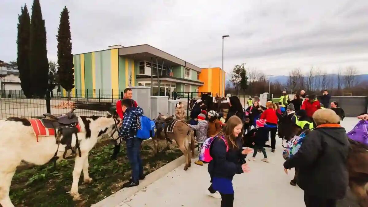 A scuola con l’Asinobus: asinelli, alpaca e cani da salvataggio accompagnano i bambini - 