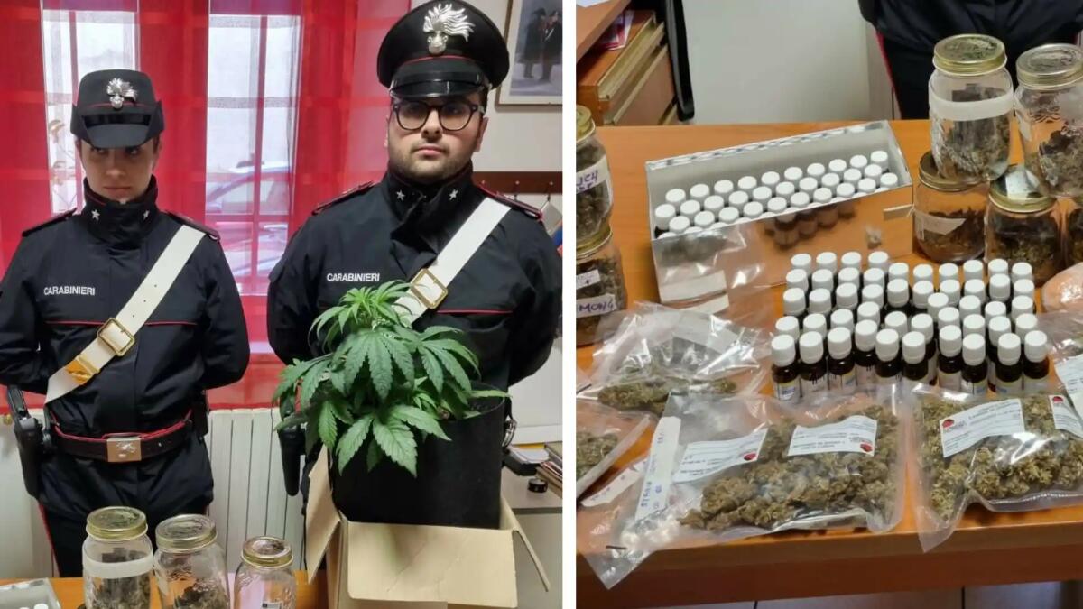 Fratello e sorella dediti allo spaccio: arrestati in flagranza di reato - 