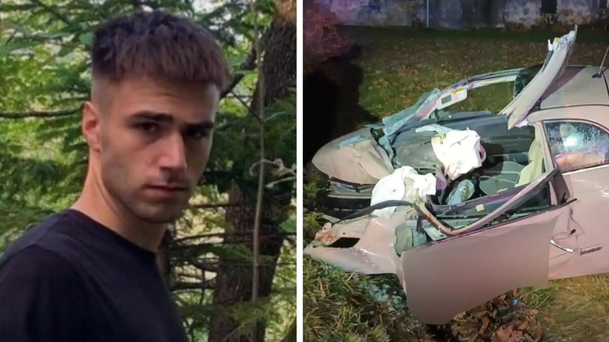 Fiat 500 contro un platano, morto il 20enne Giovanni Colognese - 