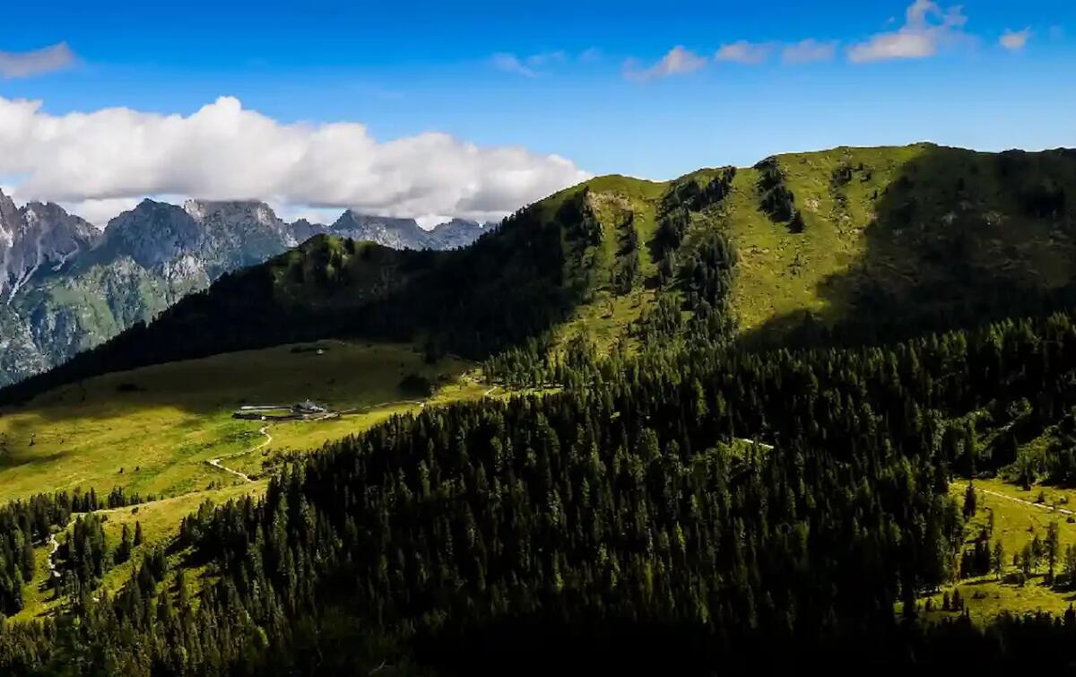 Nuovo corso online gratuito del Consorzio Boschi Carnici per le certificazioni dei boschi - 