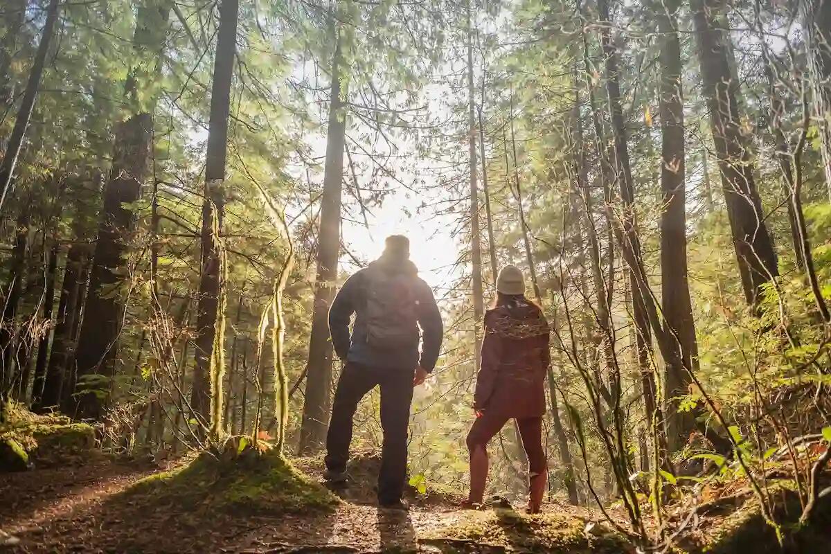 Agronomi e forestali, una visione condivisa di One Welfare -