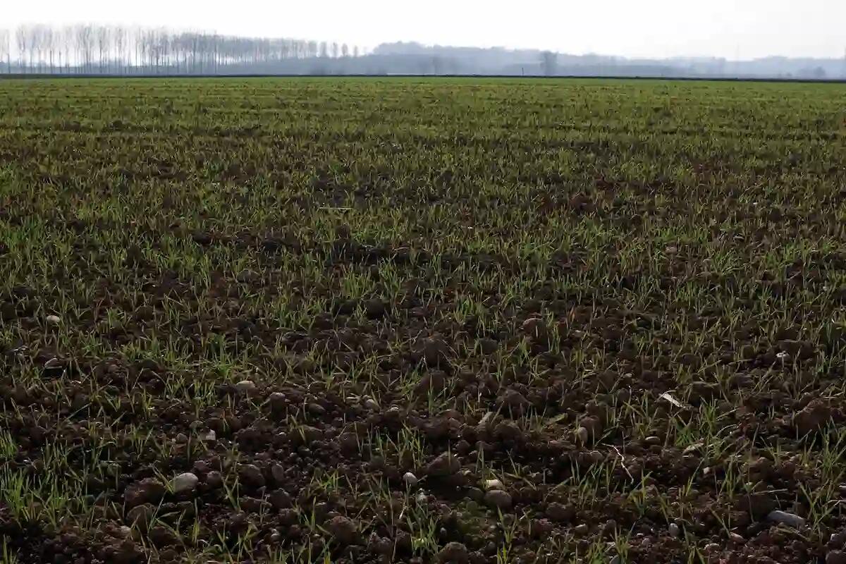 Confagricoltura a Bruxelles per portare le istanze degli agricoltori nelle sedi competenti -