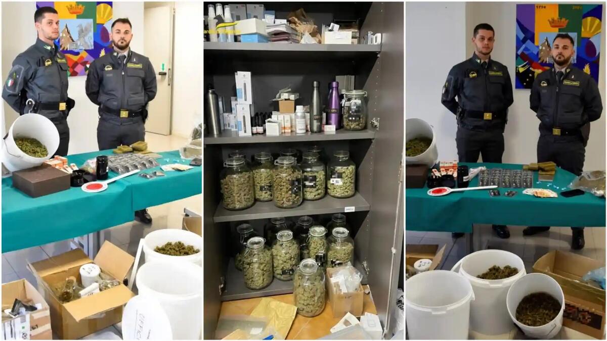 Pordenone. Spacciava droga nel suo negozio “cannabis light”: arrestato - 
