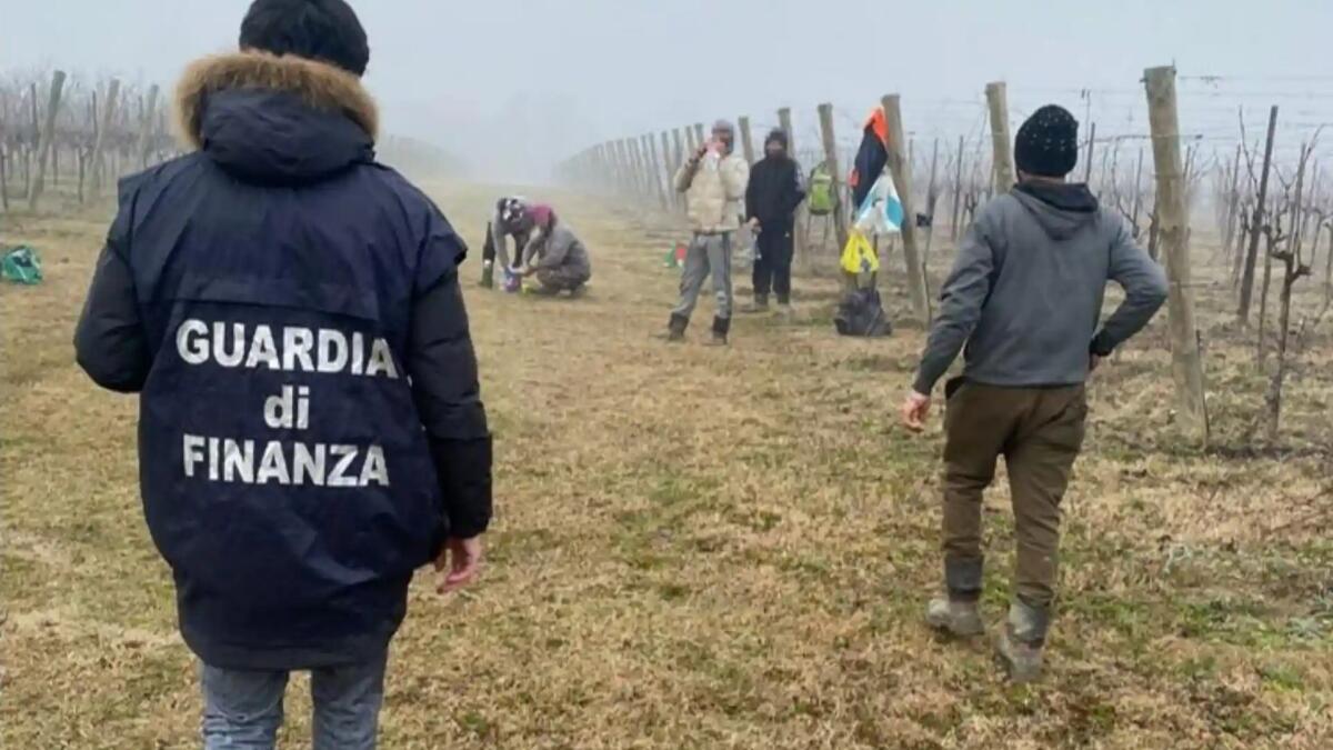 Sorpresi nei campi 5 lavoratori stranieri in nero: sospese due aziende agricole - 
