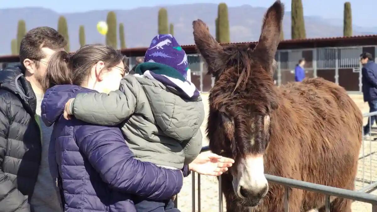 Al via l’Antica Fiera di Godega - 