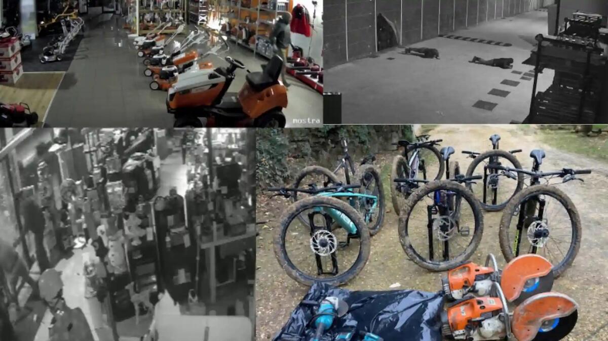 Rubano bici da corsa e attrezzi agricoli per 300mila euro: arrestati 4 rumeni -