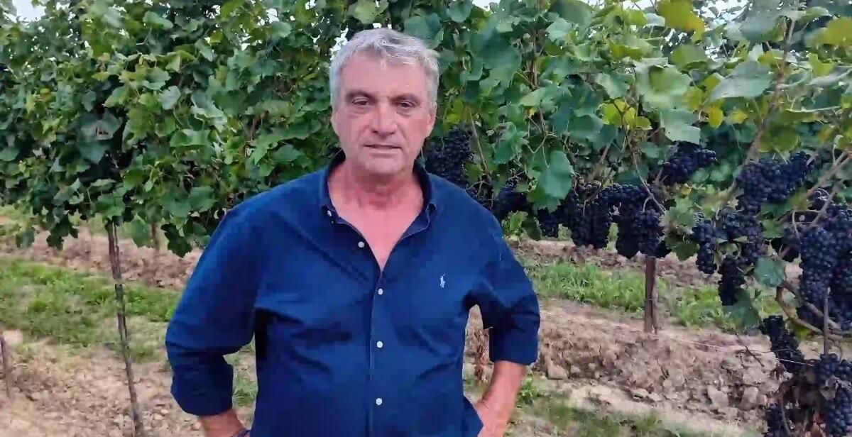 Jesolo e il Prosecco, un record storico nel 2023. Sfiorati i 4,1 milioni di consumi -