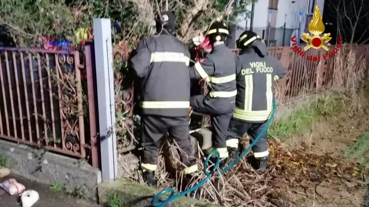 Giovane donna investita finisce nel cortile di un'abitazione contro un albero - 