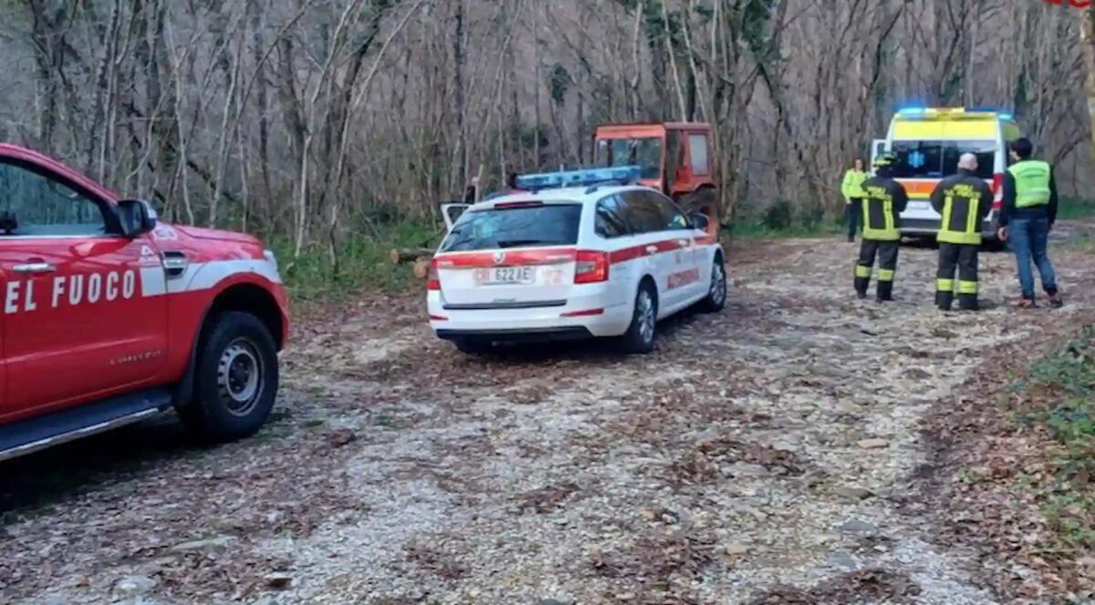 Boscaiolo travolto da un'albero a Torreano: ferito seriamente - 
