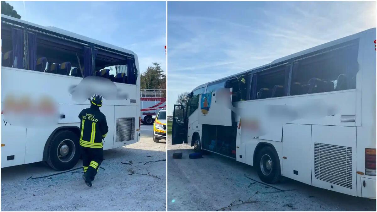 Bus rompe i vetri laterali contro i rami: feriti 14 studenti in gita scolastica -