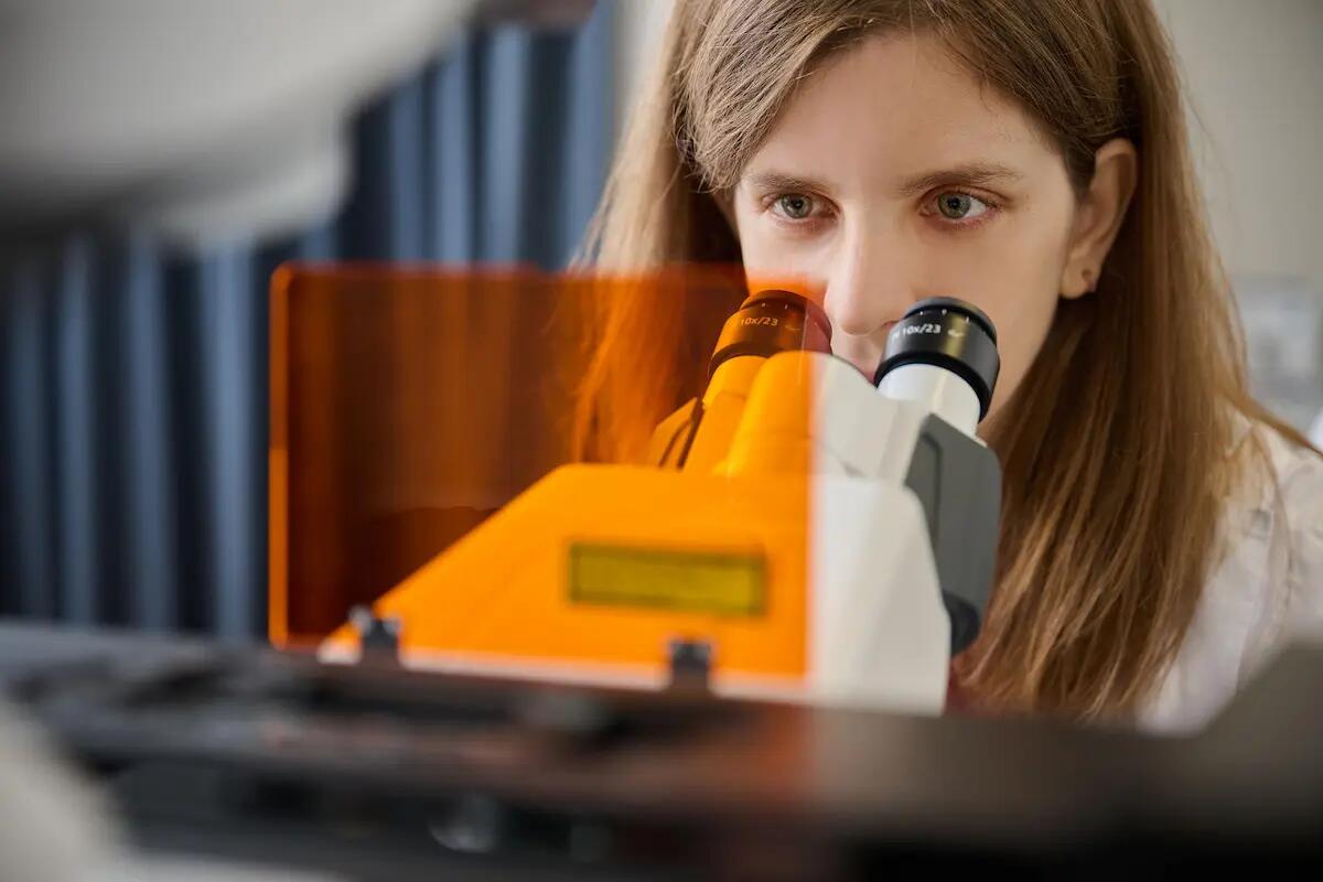 World Health Forum Veneto, Padova "capitale" della medicina - 