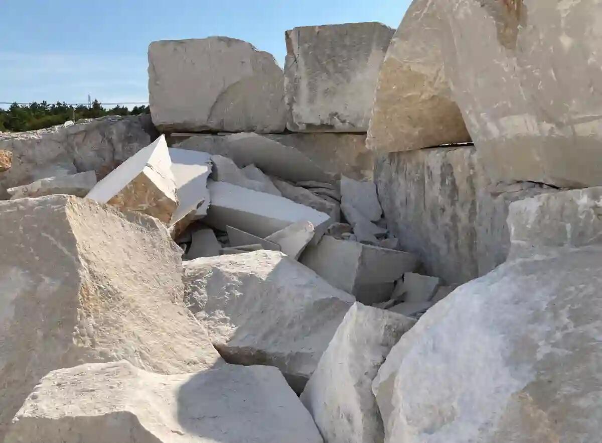 Progetto KAVE: L’ecosistema della Pietra di Aurisina  - 