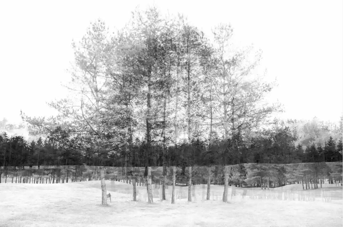 L'energia dei luoghi, Festival del vento e della pietra - 