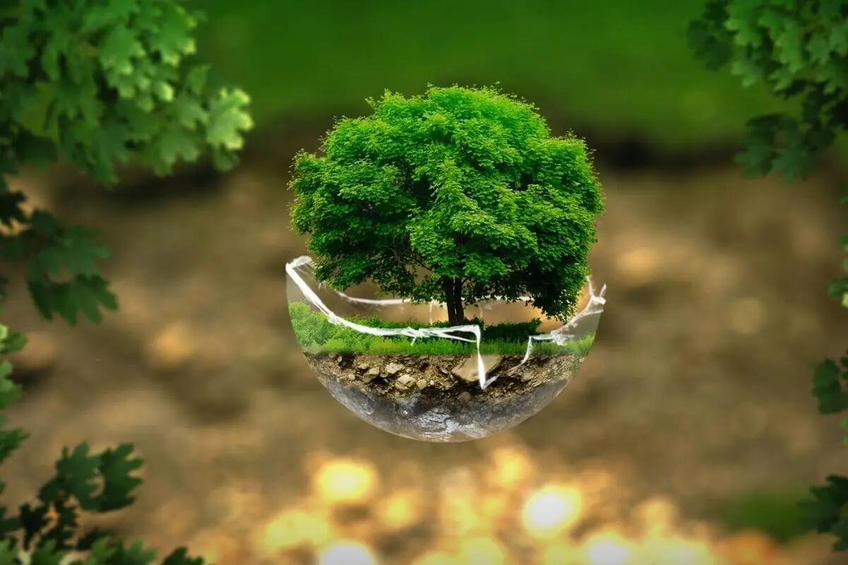 Casarsa, giornata ecologica e cura del territorio, il 17 marzo -