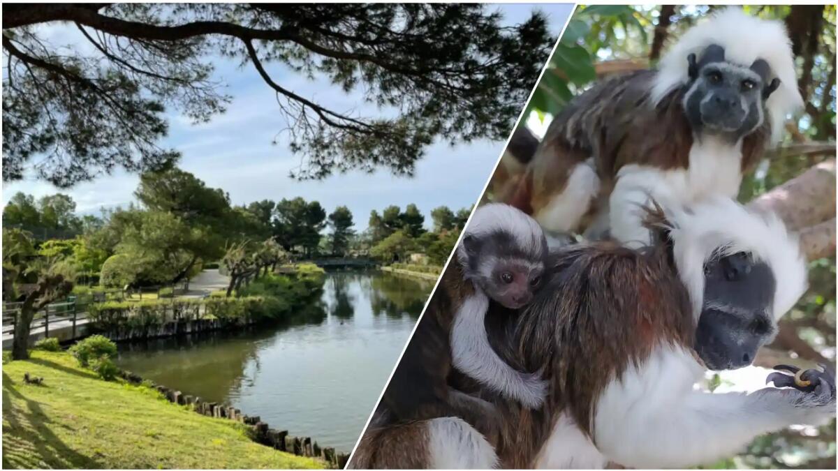 Dal 28 marzo lo Zoo di Lignano apre ai visitatori: al via la nuova stagione - 